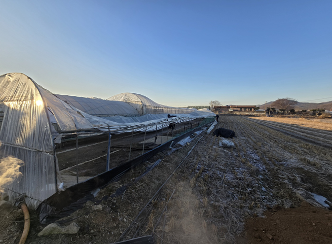 demolition of a greenhouse in Bangchuk-ri